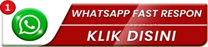 WHATSAPP LEDAK788